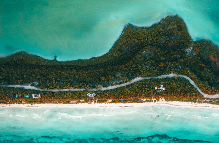 Ogrody wertykalne – doskonałe rozwiązanie dla Twojej firmy