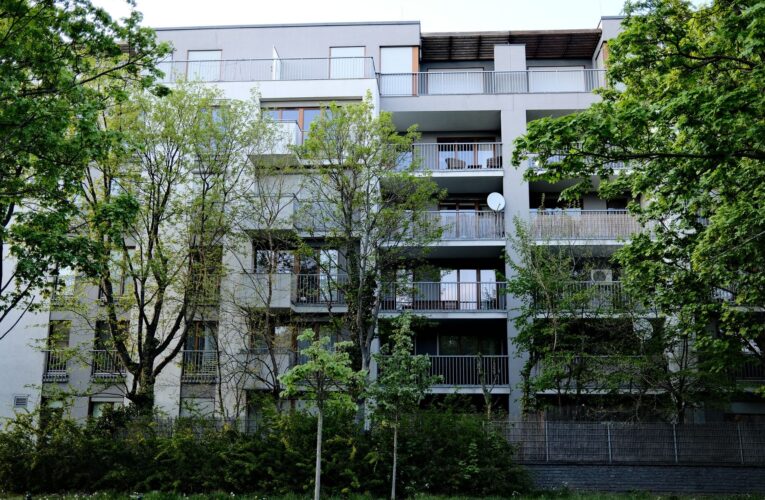 Jak wybierać materiały wykończeniowe przyjazne środowisku?
